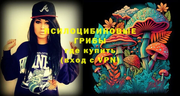 первитин Козельск