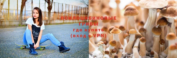 первитин Козельск