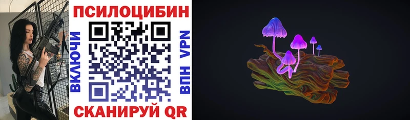 Купить закладки Инта Псилоцибиновые грибы мухоморы